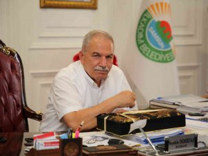 İ̇lkadım’daki Sahipsiz Köpek Sorununa Çözüm Arayışı