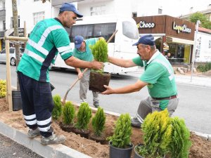 Aksaray’da Park Ve Yeşil Alanlarda Şehre Uyum Sağlayabilen Ağaç Türleri Dikiliyor