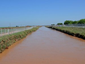 Depsaj Enerji: “Şanlıurfa’da Tarımsal Sulamada Kullanılan Elektriğin Parası Ödenmiyor”