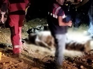 Menteşe’de Traktör Kazası: 1 Kişi Hayatını Kaybetti