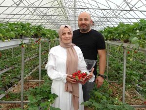 Hobi Olarak Başladıkları Topraksız Tarım Meslek Sahibi Yaptı