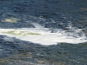 Hasada Sayılı Günler Kala Binlerce Dönüm Domates Kurudu