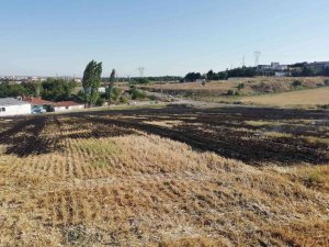 Kırklareli’nde Anız Yangını, 10 Dönümlük Alan Zarar Gördü
