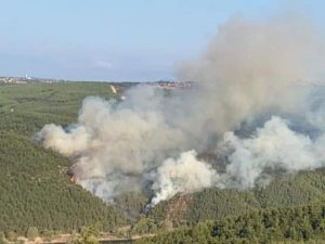 Balıkesir Susurluk’taki Orman Yangını Kontrol Altında