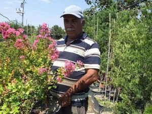 Balıkesir’de İşçi Emeklisi Vatandaş Kendini Yeşile Adadı