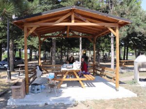 Melen Su Park’ta Kamelya Sayısı Artıyor