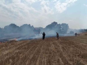 Tekirdağ’da Boş Arazide Çıkan Yangın Güçlükle Söndürüldü
