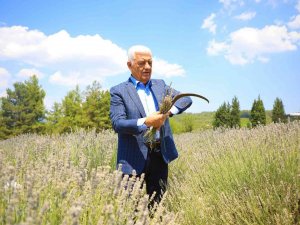 Büyükşehir Hem Üretiyor, Hem İşliyor