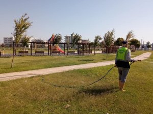 Viranşehir’de İlaçlama Çalışmaları Devam Ediyor