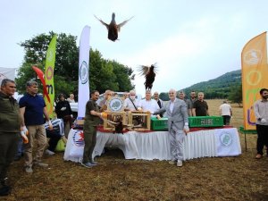 750 Adet Keklik ve Sülün OMÜ’de Doğaya Bırakıldı