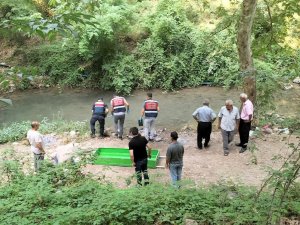 Mesire Alanında Suya Düşen Yaşlı Adam Boğularak Hayatını Kaybetti
