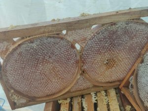 Darende’de Bal Sağım Ve Süzme Mesaisi