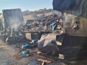 Alevlere Teslim Olan Tırdaki 20 Ton Fındık Küle Döndü