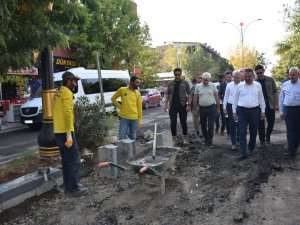 Siirt’te Asfalt, Parke, Kaldırım Ve Peyzaj Çalışmaları Devam Ediyor