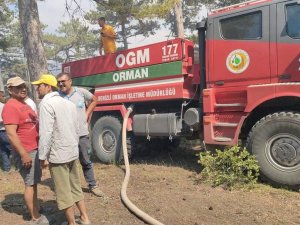 Denizli’de Korkutan Yangın