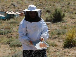 Uzmanlığını Anne Şefkati İle Birleştirip Arıcılığa Başladı