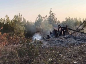 Ormanlık Alandaki Örtü Yangını Büyümeden Söndürüldü