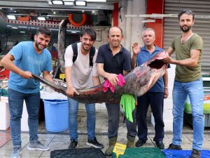 Dev Yayın Balığı Herkesin İlgi Odağı Oldu