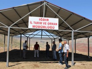 Hayvanlar İçin Gölgelikler Yapılıyor