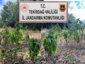 Tekirdağ’da Uyuşturucu Operasyonu: 1’i Gürcistan Uyruklu 4 Kişi Tutuklandı