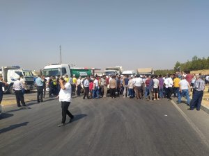 Kuzu Eti İndirimini Protesto Eden Besiciler Yol Kapattı