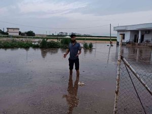 Mardin’de Su Borusu Patladı: Yüzlerce Kümes Hayvanı Telef Oldu