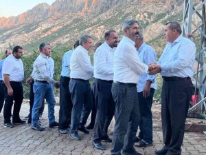 Milletvekili Aydın, Köy Ve Mezralarda Yatırımları İnceledi