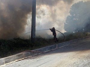 Sakarya’da Ormanlık Alanda Korkutan Yangın