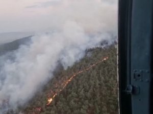 Manisa’da Ormanlık Alanda Yangın