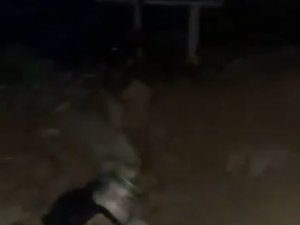 Tunceli’de Terör Örgütüne Ait Sığınakta Çok Sayıda Malzeme Ele Geçirildi