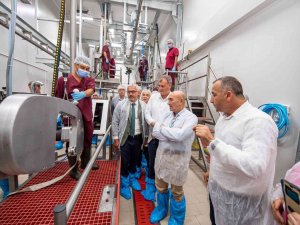 Tire Mezbahası Ve Süt İ̇şleme Tesisi Açılıyor