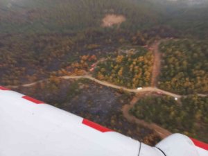 Soma’daki Orman Yangını Kontrol Altına Alındı