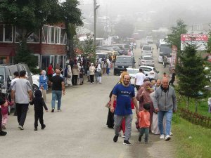 Arap Turistler En Çok Yaylaları Tercih Ediyor