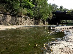 Ereğli İlçe Merkezini Lağım Kokusu Sardı