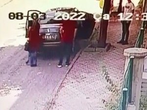 Yavru Kediyi Sokağa Attı, 2 Bin 724 Lira Ceza Yedi
