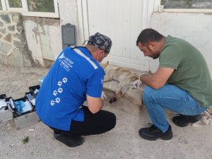 Jandarma Haber Verdi Belediye Ekipleri Kurtardı
