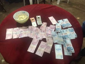 Alanya’da Jandarmadan Kumar Operasyonu