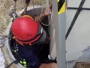 Maltepe’de Kuyuya Düşen Kediyi İtfaiye Ekipleri Kurtardı