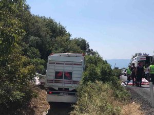 Çanakkale’de Kamyon Şarampole Uçtu: 2 Yaralı