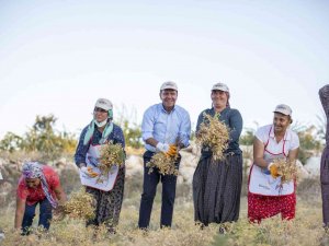 Seçer: "Tarımsal Üretime Katkı Sunmak İçin Her Türlü Desteği Yapıyoruz"