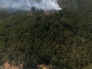 Bursa’da Orman Yangını