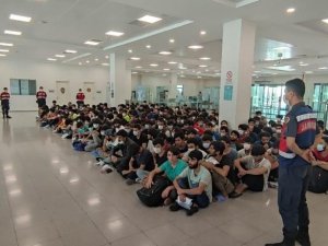 Kırklareli’nde Yakalanan 226 Kaçak Göçmen Sınır Dışı Edildi
