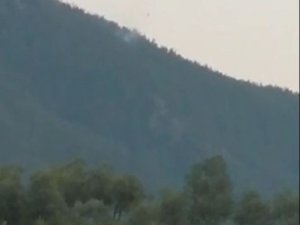 Yıldırım Yangını Büyümeden Söndürüldü