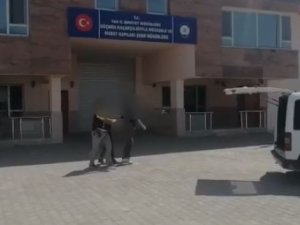 Van’da Bir Organizatör Hakkında İşlem Yapıldı