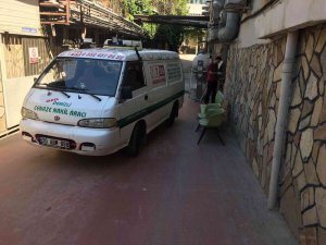 4. Kattan Düşen Gönül Bebek Yaşama Tutunamadı