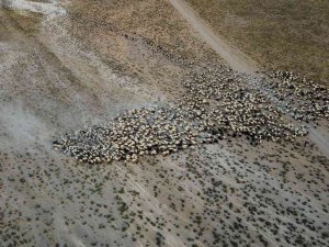 Nemrut Kraterinde Muhteşem ’Tozlu’ Yolculuk