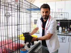 Yeni Kırık Tedavi Yöntemi İlk Kez Siirt’te Uygulandı