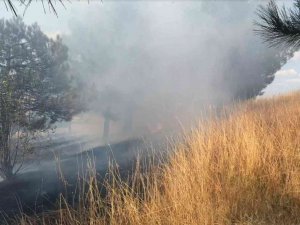 Edirne’de Ormanlık Alanda Çıkan Yangın, Büyümeden Söndürüldü