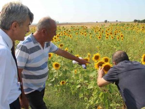 Dpü Üretim Seferberliği Başlattı