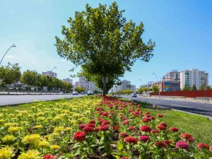 Kayapınar İlçesinde Fırat Bulvarı 75 Bin 360 Adet Çiçekle Süslendi